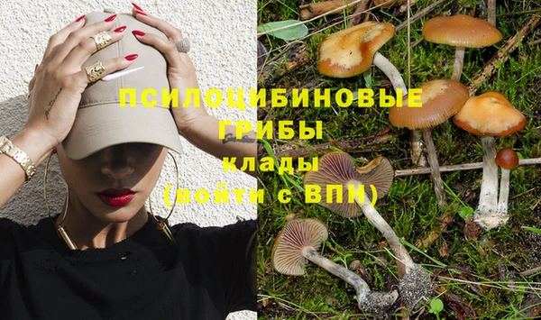 спайс Алексеевка