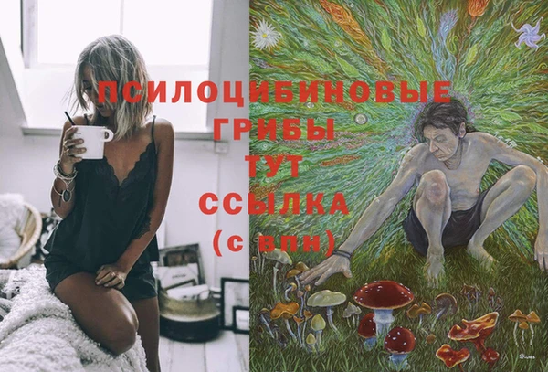 кокаин перу Алзамай