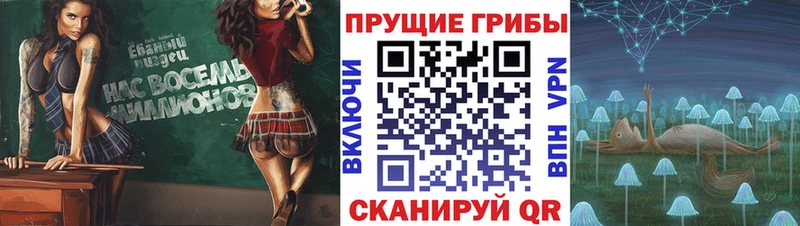 купить закладку  Харовск  Галлюциногенные грибы ЛСД 